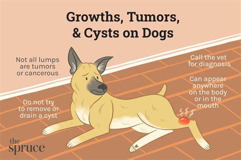 What Is A Benign Tumor In Dogs