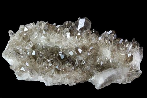 3.8" Dark Smoky Quartz Crystal Cluster - Brazil (#104080) For Sale ...