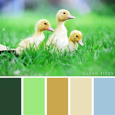 25 Easter Color Palettes - Sarah Titus