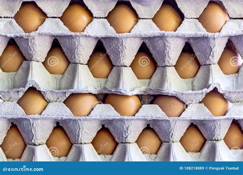 A Fresh Chicken Egg in the Egg Tray Stacked Together in One Beau Stock Image - Image of package ...