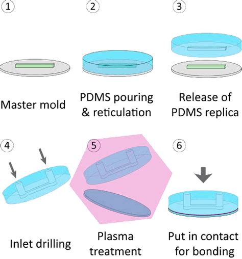 PDMS: a review on polydimethylsiloxane in microfluidics - Elveflow