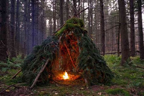 The Complete Guide to Bushcraft Shelters - Survival World