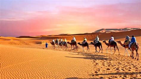 8 Fakta Gurun Sahara di Afrika, Luasnya Hampir Setara Eropa! | Orami