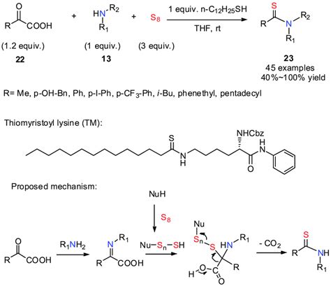 Scheme 8. Thiol-mediated synthesis of aryl or alkyl thioamides by ...