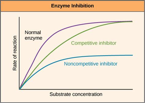 Allosteric Inhibition Graph