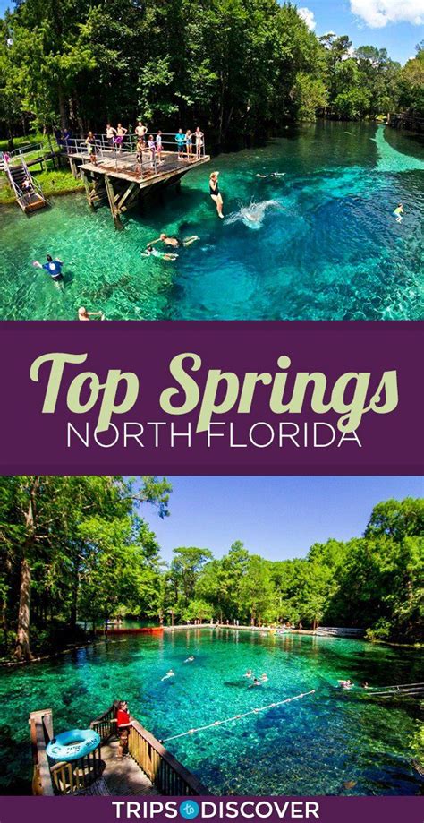12 Top Springs in North Florida Florida Vacation Spots, Places In Florida, Visit Florida ...