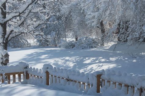 Squash Blossom Farm: Beautiful Blizzard