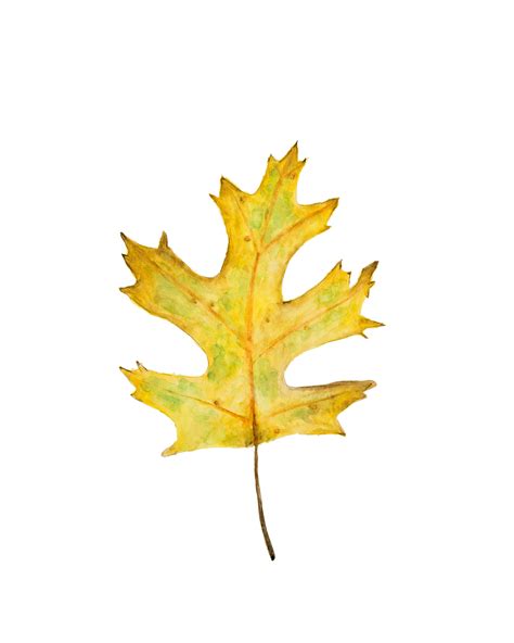 Fall Leaves Printable Set Set of 6 Fall Leaf Prints Autumn | Etsy