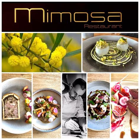 MIMOSA RESTAURANT, Bormes-Les-Mimosas - Menu, Prices & Restaurant Reviews - Tripadvisor