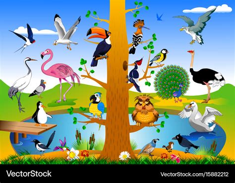 Bird kingdom Royalty Free Vector Image - VectorStock