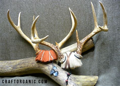 Decorative Deer Antler Mount - Craft Organic