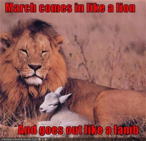 saying about march coming in like a lion | Will March come in like a lion and go out like a lamb ...