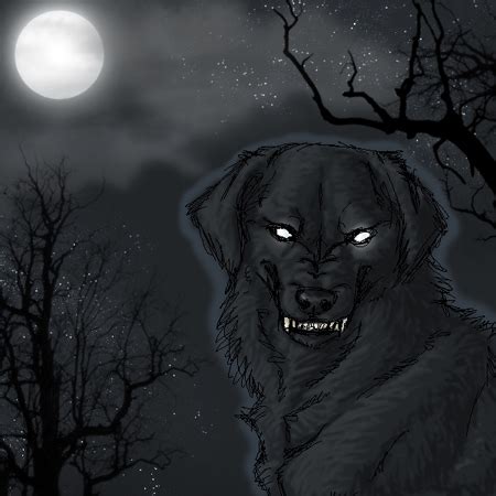 Black Dog - Warriors Of Myth Wiki