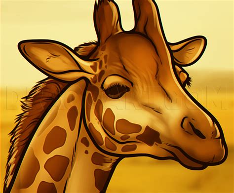 não notei loteria janeiro giraffe drawing face Sábio Demonstrar País