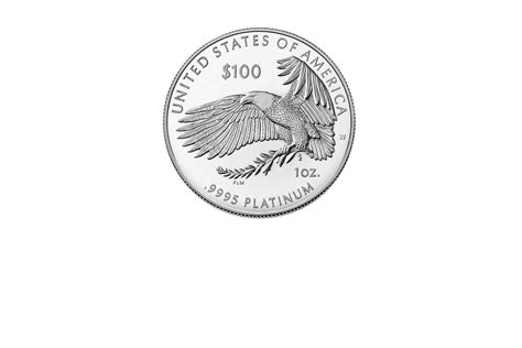 Is minting a $1 trillion platinum coin the answer to the debt limit crisis? - ABC News