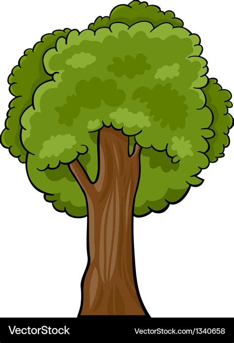 Cartoon of deciduous tree Royalty Free Vector Image