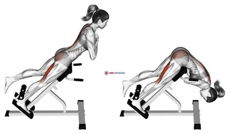 45 degree one leg hyperextension (arms in front of chest) - Home Gym Review