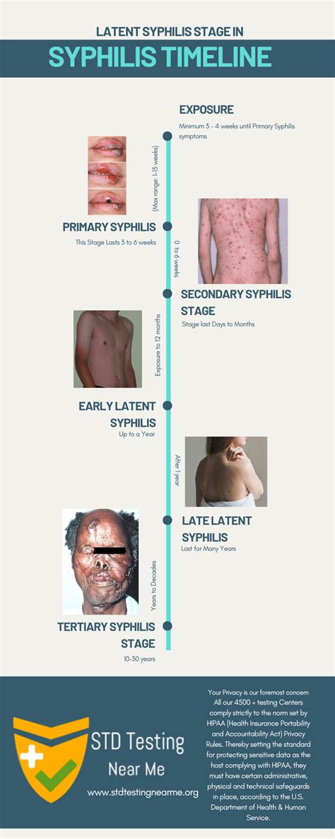 Everything about Early Latent Syphilis to Late Latent Syphilis - STD ...