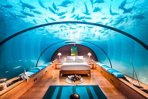 Unravel the Mystery of Tripping in Jules Undersea Lodge, Florida