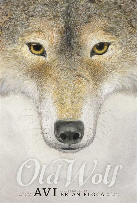 Old Wolf | Book by Avi, Brian Floca | Official Publisher Page | Simon & Schuster