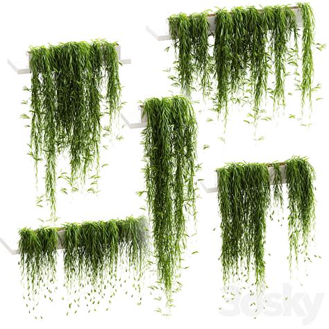 Hanging plants for shelves. 5 models. set 3 3D Model - 3DSKY Decor Helper