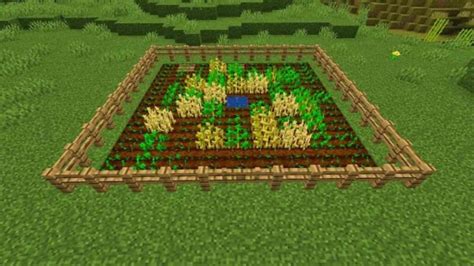 How to create a Wheat farm in Minecraft: Tools required, process and more