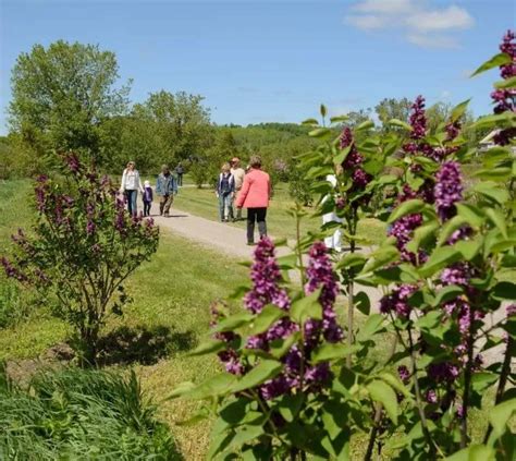 Warkworth Lilac Festival - Trent Hills Tourism