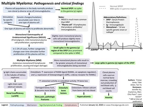 Multiple Myeloma | Calgary Guide