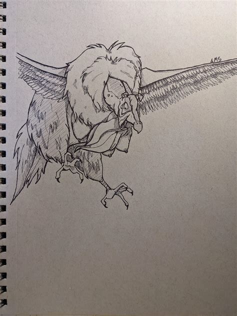 Harpy from The Last Unicorn that I drew for today's inktober prompt "eagle" : r/80scartoons