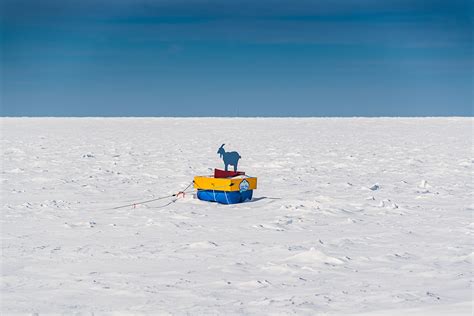 Goat on a Boat in Sister Bay - Door County Pulse