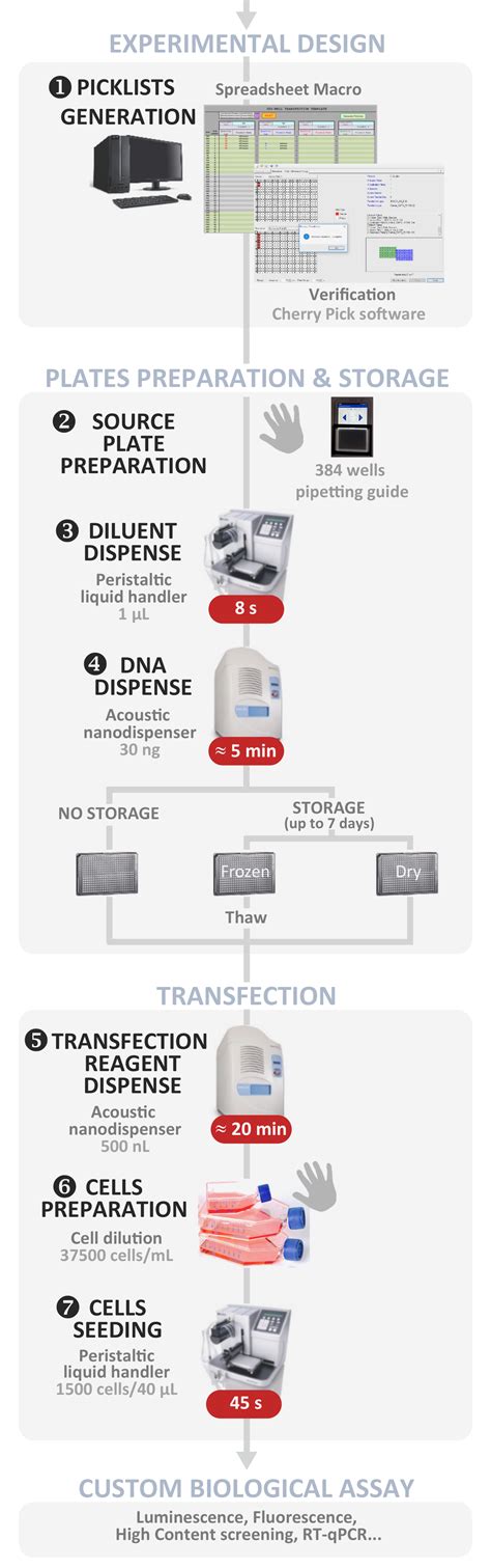 High-Throughput DNA Plasmid Multiplexing and Transfection Using ...