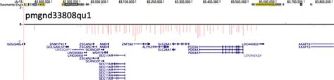 Diverse genetic causes of polymicrogyria with epilepsy. - Abstract - Europe PMC