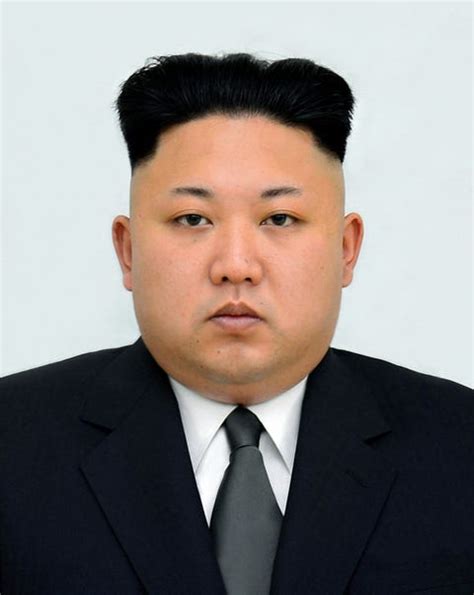 Kim Jong Un Face Of British Bad Hair Day Ad - Business Insider