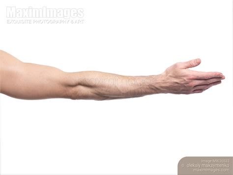 Photo of Extended man arm isolated | Stock Image MXI26533