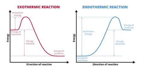 Vector Graphs Or Charts Of Endothermic And Exothermic Reactions Isolated On White Exo And Endo ...