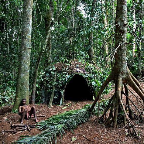 Baka people of Cameroon The inhabitants of the rainforest