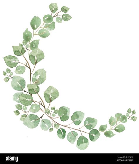 Watercolor Greenery Wreath Clipart, Green Florals Leaves Border ...