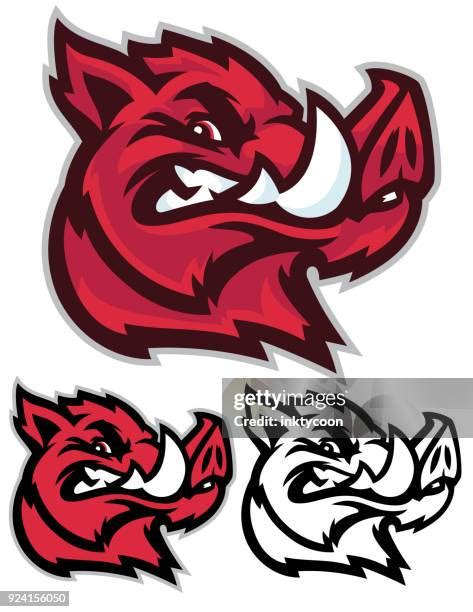 Razorback Hog Photos and Premium High Res Pictures - Getty Images