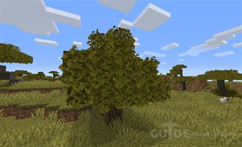 Download Bushy Leaves texture pack for Minecraft 1.20.3/1.19.4/1.18.2/1 ...