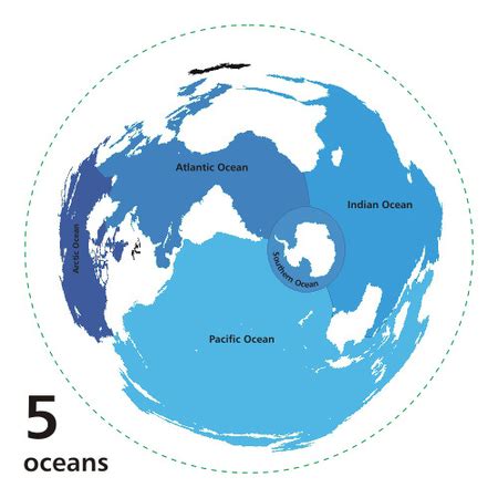 Marine Biome Overview, Plants & Animals - Video & Lesson Transcript | Study.com