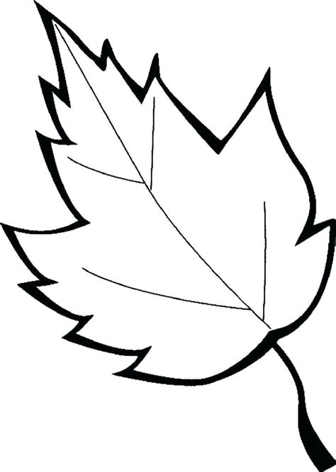 Maple Leaf Line Drawing | Free download on ClipArtMag