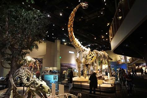 19 Best Museums In Dallas | Museums and Theatres in Dallas