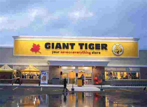 Giant Tiger Survey Sweepstakes (Gianttiger.com/survey)