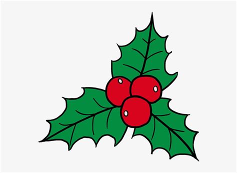 How To Draw Holly - Mistletoe Easy To Draw PNG Image | Transparent PNG Free Download on SeekPNG