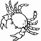 Free Printable Crab Coloring Pages For Kids sketch template