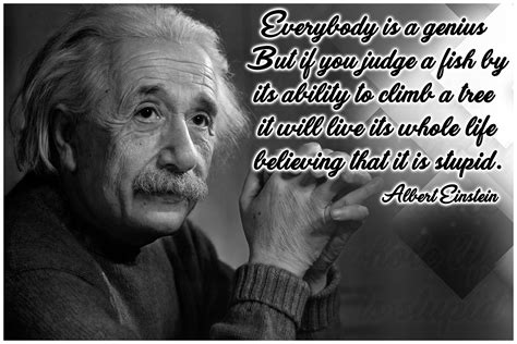 Buy Math s Science s Albert Einstein Quote | Albert Einstein | Physics ...