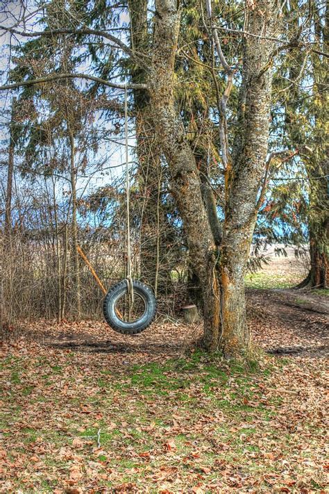 The Tire Swing Photograph by Wild Fire - Fine Art America