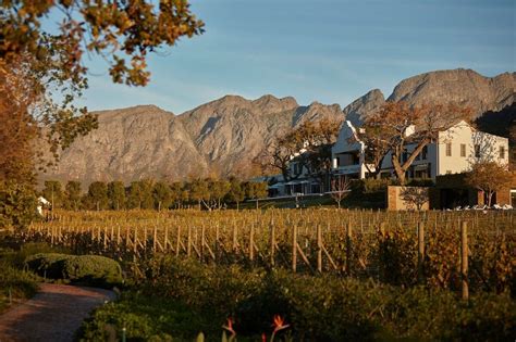 Exclusive Cape Town wine tasting tours in the Cape Winelands, South Africa