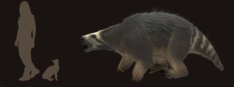 Megafauna 3D » Glossotherium