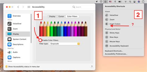 macos - How to use Accessibility Shortcuts for enabling Display Color Filters? - Ask Different